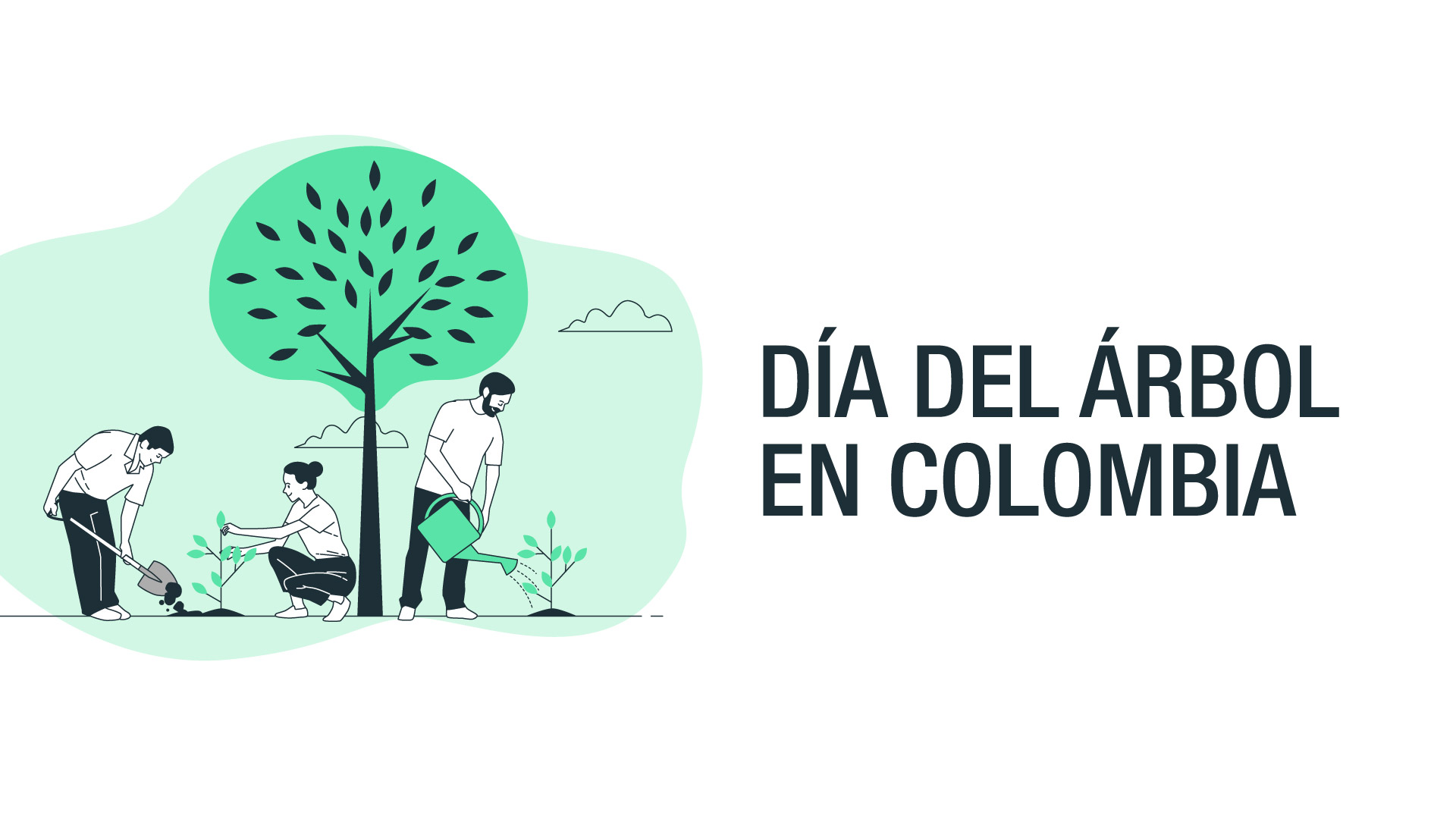 Día del Árbol en Colombia